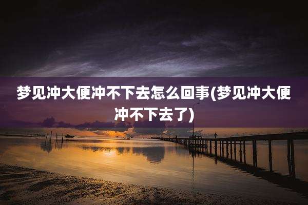 梦见冲大便冲不下去怎么回事(梦见冲大便冲不下去了)