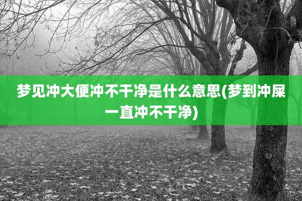 梦见冲大便冲不干净是什么意思(梦到冲屎一直冲不干净)