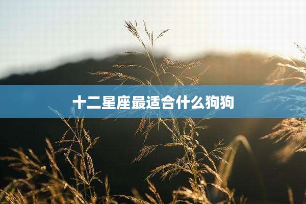 十二星座最适合什么狗狗