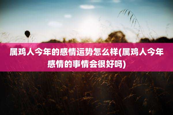 属鸡人今年的感情运势怎么样(属鸡人今年感情的事情会很好吗)