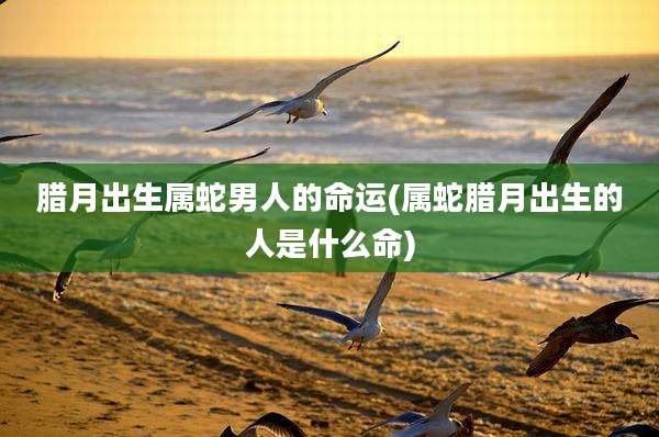 腊月出生属蛇男人的命运(属蛇腊月出生的人是什么命)