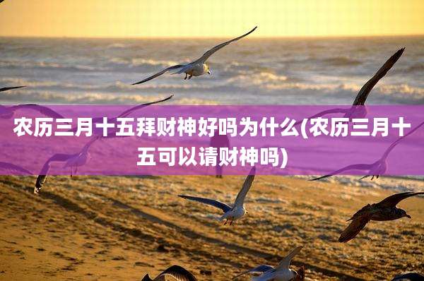 农历三月十五拜财神好吗为什么(农历三月十五可以请财神吗)