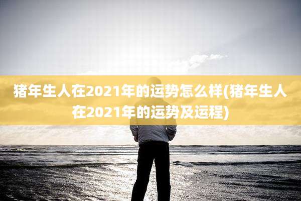 猪年生人在2021年的运势怎么样(猪年生人在2021年的运势及运程)