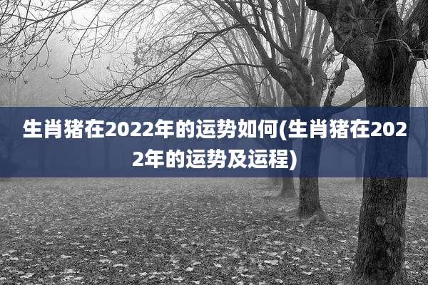 生肖猪在2022年的运势如何(生肖猪在2022年的运势及运程)