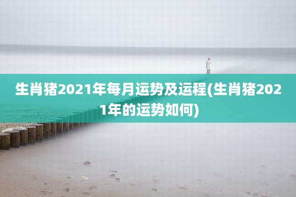 生肖猪2021年每月运势及运程(生肖猪2021年的运势如何)