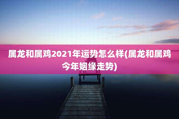 属龙和属鸡2021年运势怎么样(属龙和属鸡今年姻缘走势)