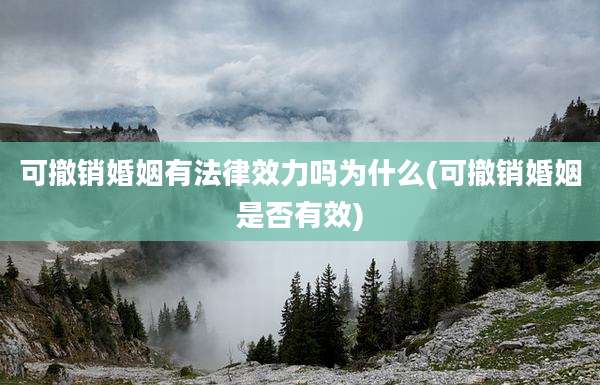 可撤销婚姻有法律效力吗为什么(可撤销婚姻是否有效)