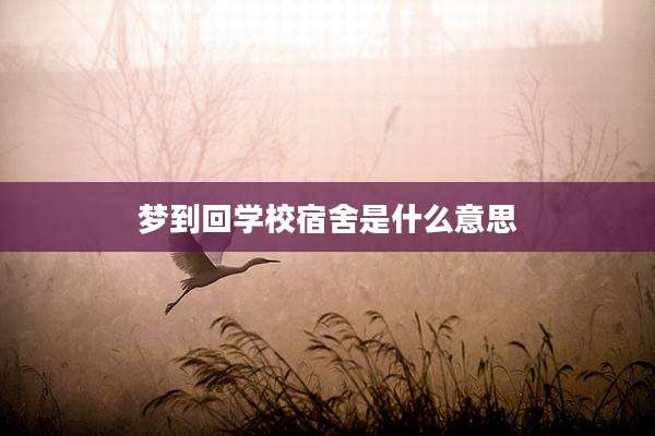 梦到回学校宿舍是什么意思