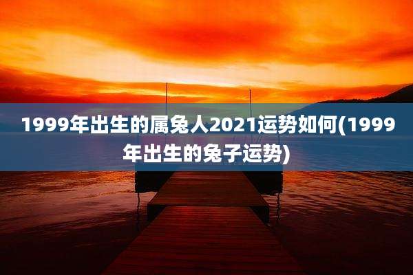 1999年出生的属兔人2021运势如何(1999年出生的兔子运势)