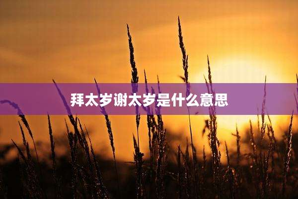拜太岁谢太岁是什么意思