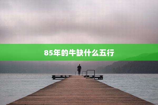 85年的牛缺什么五行