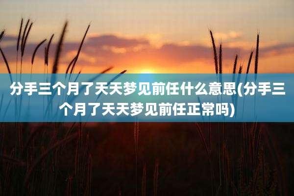 分手三个月了天天梦见前任什么意思(分手三个月了天天梦见前任正常吗)