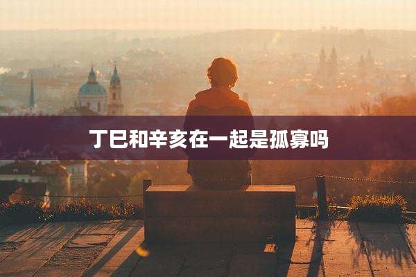 丁巳和辛亥在一起是孤寡吗
