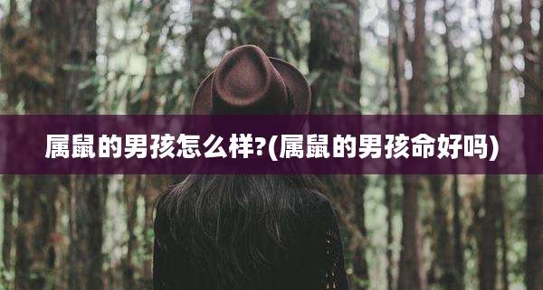 属鼠的男孩怎么样?(属鼠的男孩命好吗)