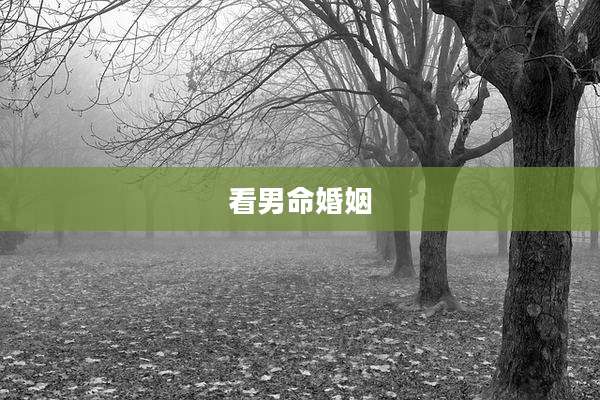 看男命婚姻