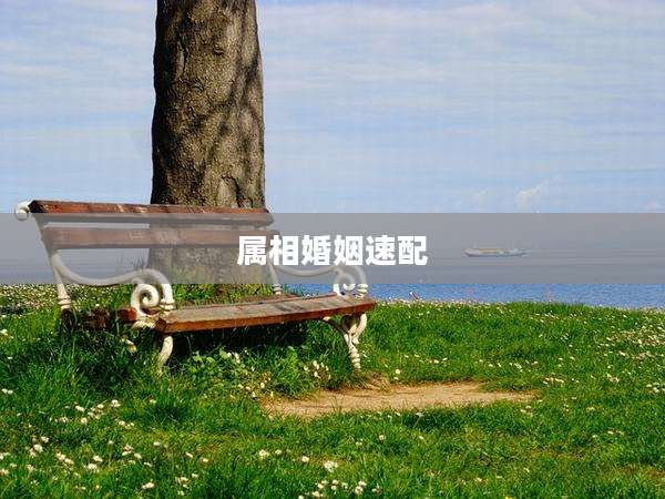 属相婚姻速配