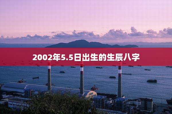 2002年5.5日出生的生辰八字