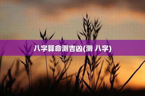八字算命测吉凶(测 八字)