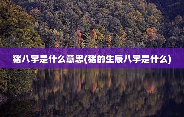 猪八字是什么意思(猪的生辰八字是什么)