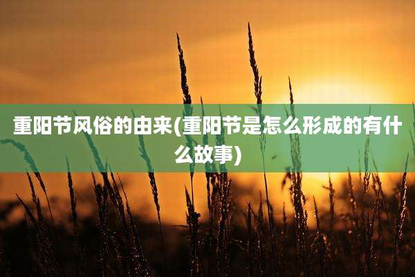 重阳节风俗的由来(重阳节是怎么形成的有什么故事)