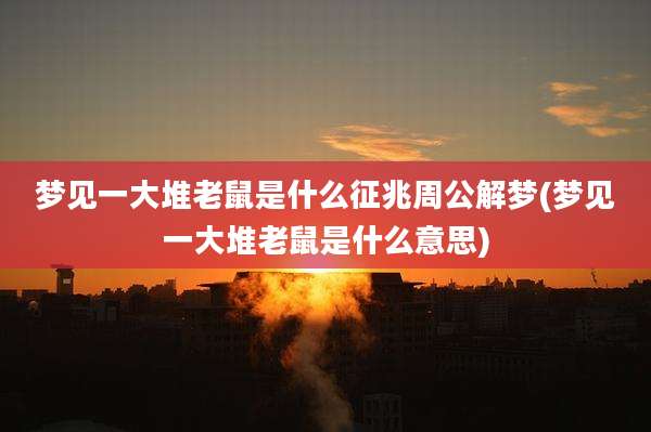 梦见一大堆老鼠是什么征兆周公解梦(梦见一大堆老鼠是什么意思)