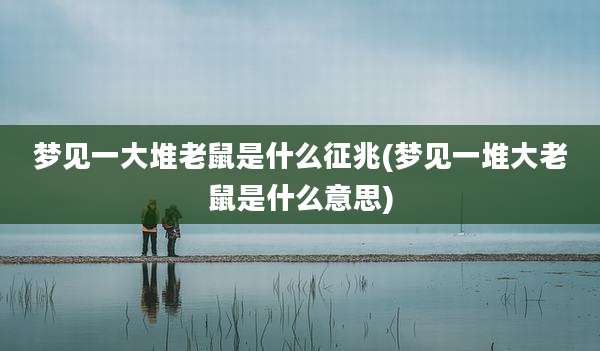 梦见一大堆老鼠是什么征兆(梦见一堆大老鼠是什么意思)