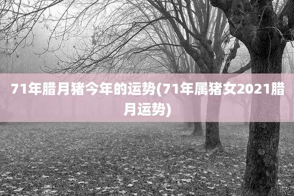 71年腊月猪今年的运势(71年属猪女2021腊月运势)