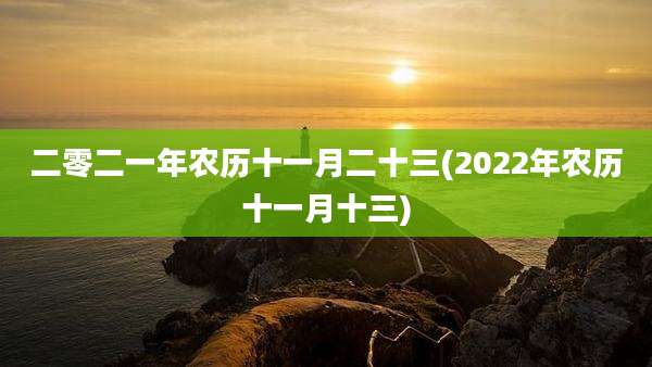 二零二一年农历十一月二十三(2022年农历十一月十三)