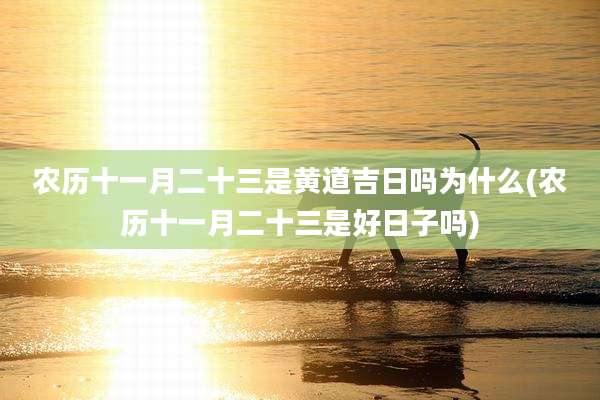 农历十一月二十三是黄道吉日吗为什么(农历十一月二十三是好日子吗)