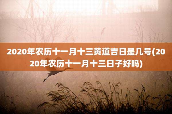 2020年农历十一月十三黄道吉日是几号(2020年农历十一月十三日子好吗)
