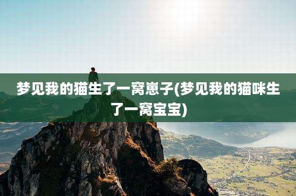 梦见我的猫生了一窝崽子(梦见我的猫咪生了一窝宝宝)