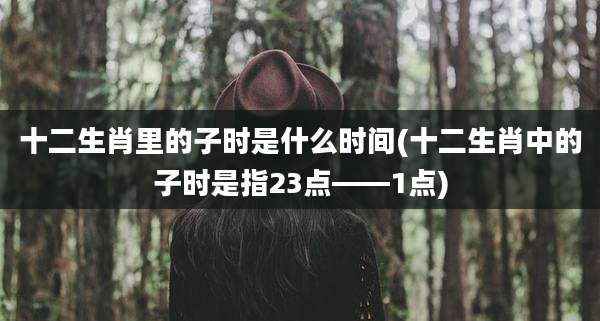 十二生肖里的子时是什么时间(十二生肖中的子时是指23点——1点)