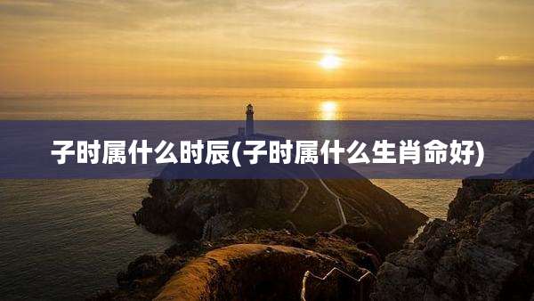 子时属什么时辰(子时属什么生肖命好)