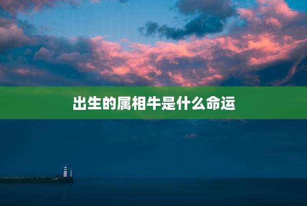 出生的属相牛是什么命运
