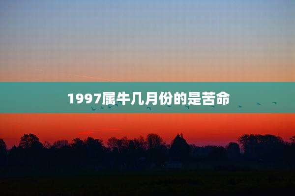 1997属牛几月份的是苦命