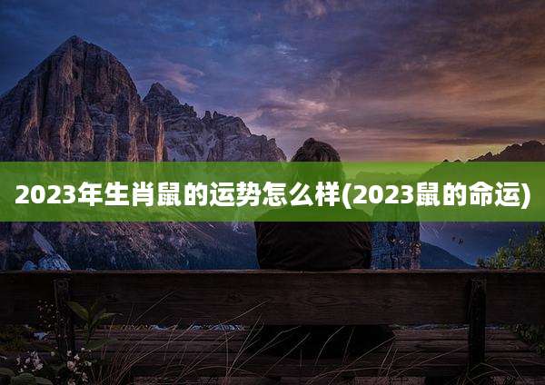 2023年生肖鼠的运势怎么样(2023鼠的命运)