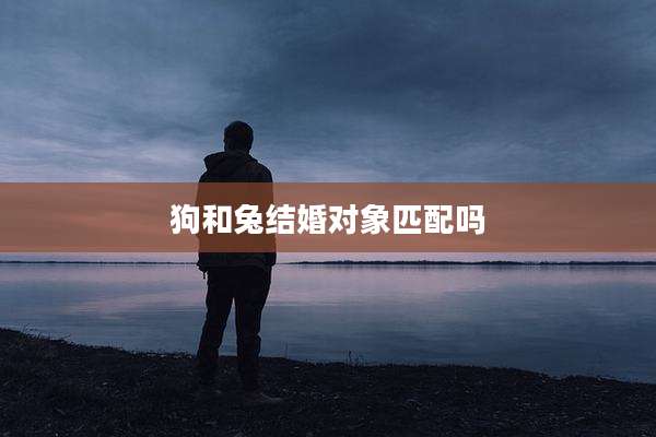 狗和兔结婚对象匹配吗