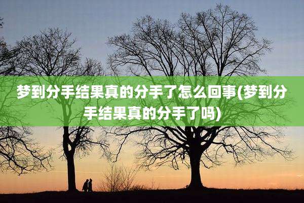 梦到分手结果真的分手了怎么回事(梦到分手结果真的分手了吗)