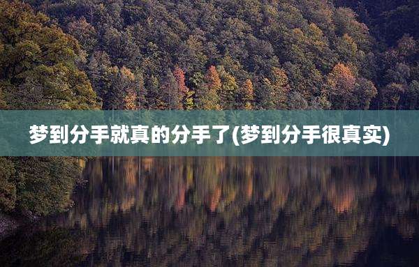 梦到分手就真的分手了(梦到分手很真实)