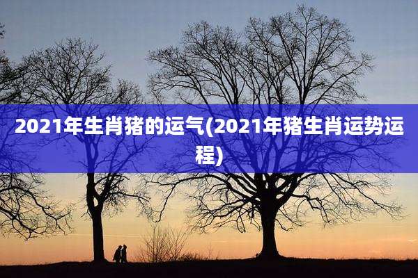 2021年生肖猪的运气(2021年猪生肖运势运程)