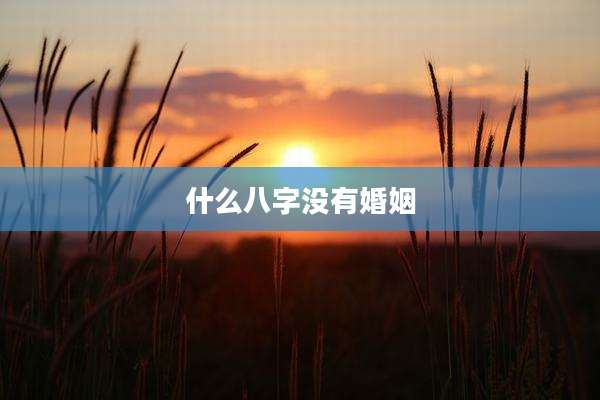 什么八字没有婚姻