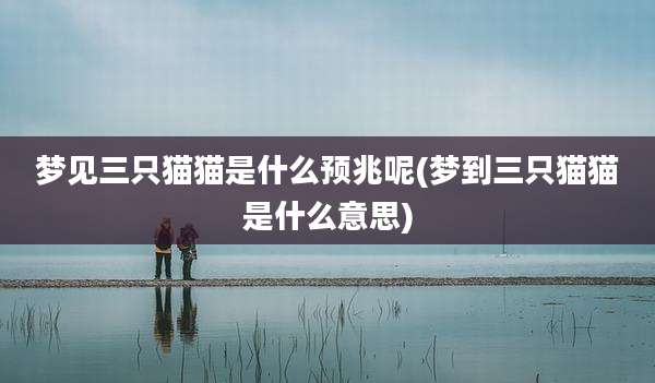 梦见三只猫猫是什么预兆呢(梦到三只猫猫是什么意思)