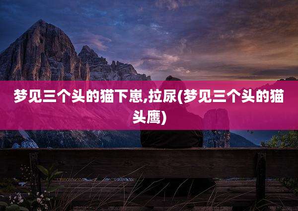 梦见三个头的猫下崽,拉尿(梦见三个头的猫头鹰)