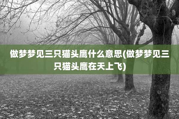 做梦梦见三只猫头鹰什么意思(做梦梦见三只猫头鹰在天上飞)