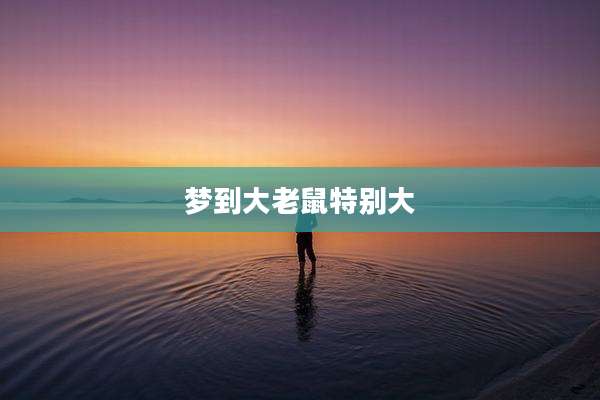 梦到大老鼠特别大
