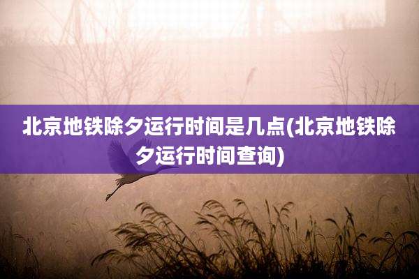 北京地铁除夕运行时间是几点(北京地铁除夕运行时间查询)