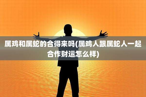 属鸡和属蛇的合得来吗(属鸡人跟属蛇人一起合作财运怎么样)