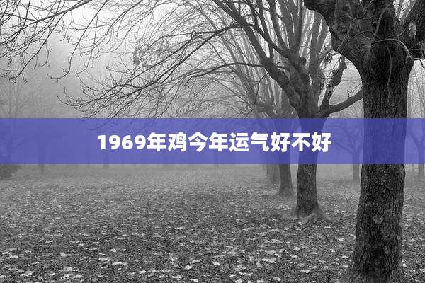 1969年鸡今年运气好不好