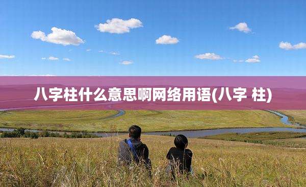 八字柱什么意思啊网络用语(八字 柱)