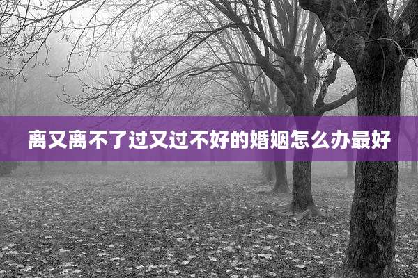 离又离不了过又过不好的婚姻怎么办最好